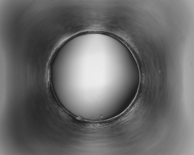 X0000094171366200711091116