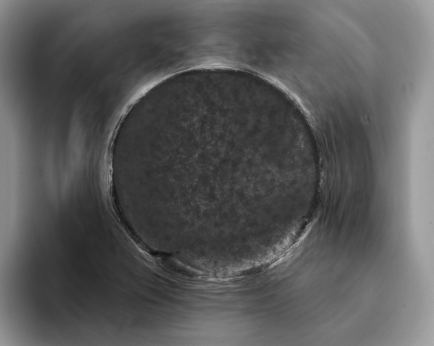X0000094171367200711091116