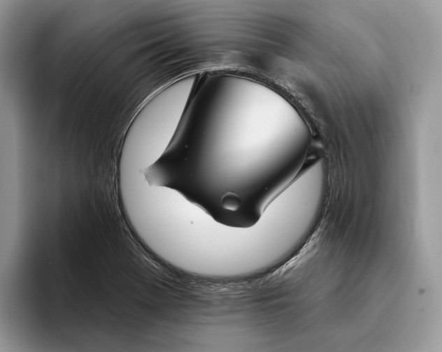 X0000094171369200711091116