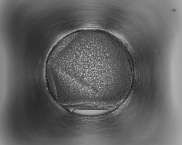 X0000094171374200711091116