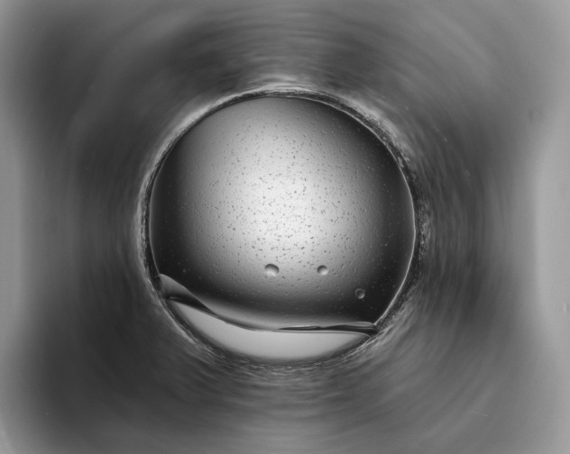 X0000094171375200711091116