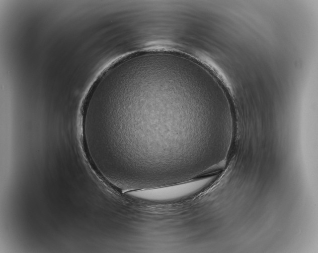 X0000094171376200711091116