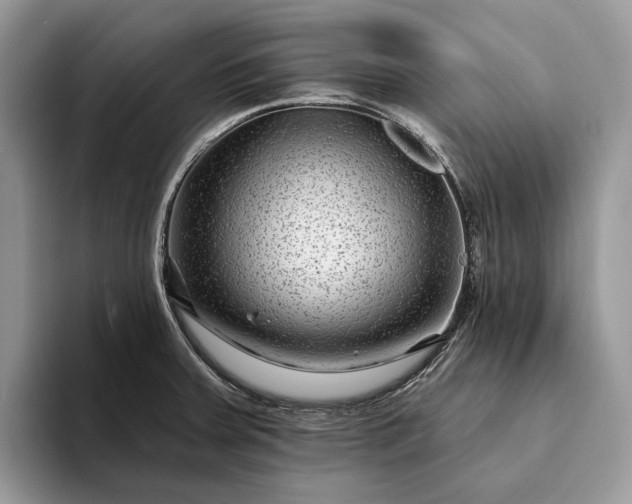 X0000094171379200711091116
