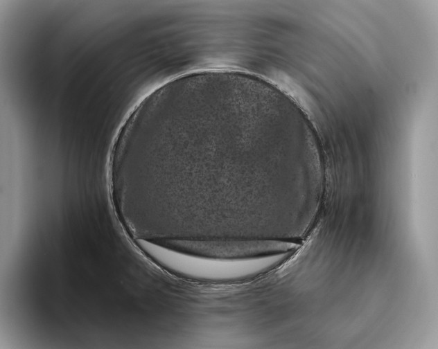 X0000094171382200711091116