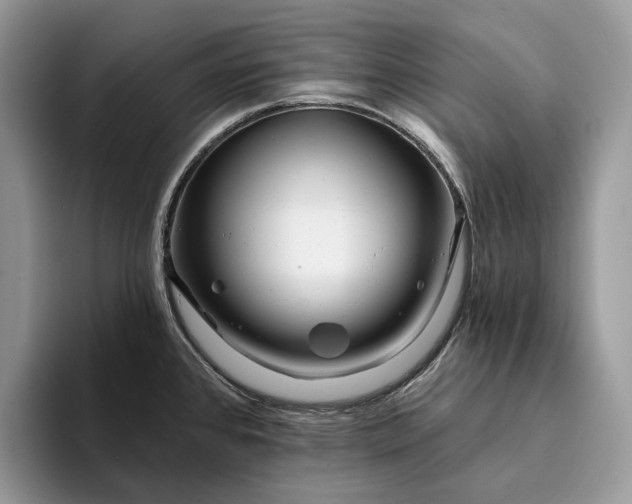 X0000094171384200711091116