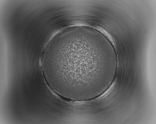 X0000094171385200711091116