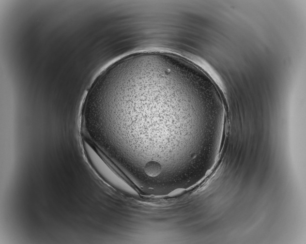 X0000094171388200711091116