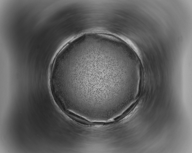 X0000094171390200711091116