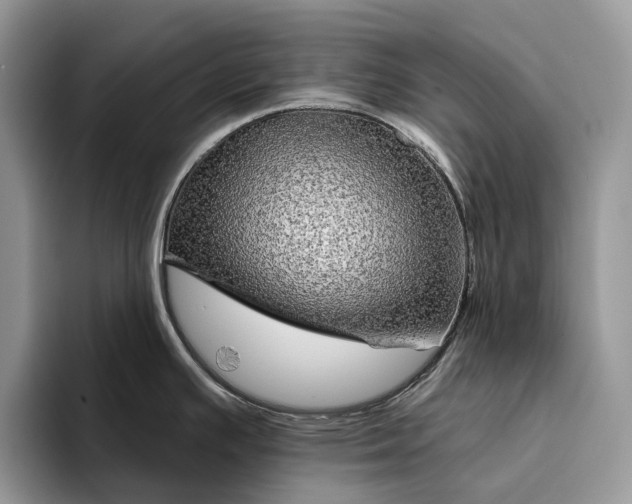 X0000094171391200711091116
