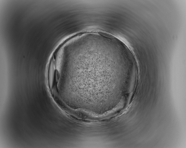 X0000094171392200711091116