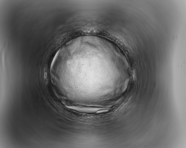 X0000094171396200711091115