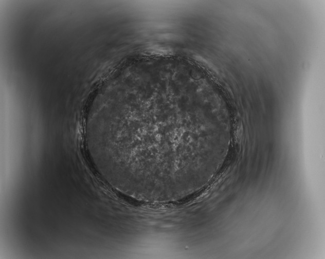 X0000094171397200711091116