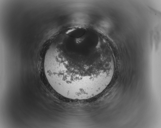 X0000094171399200711091116