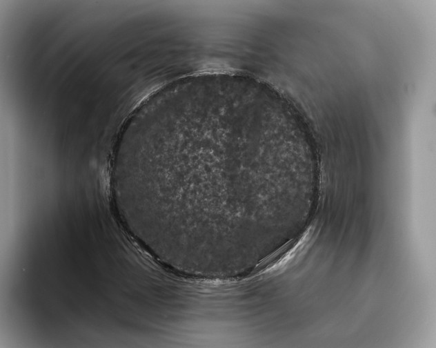 X0000094171401200711091116