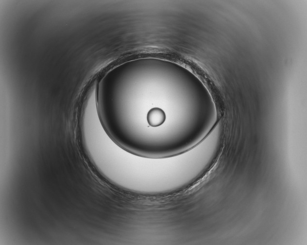 X0000094171402200711091116