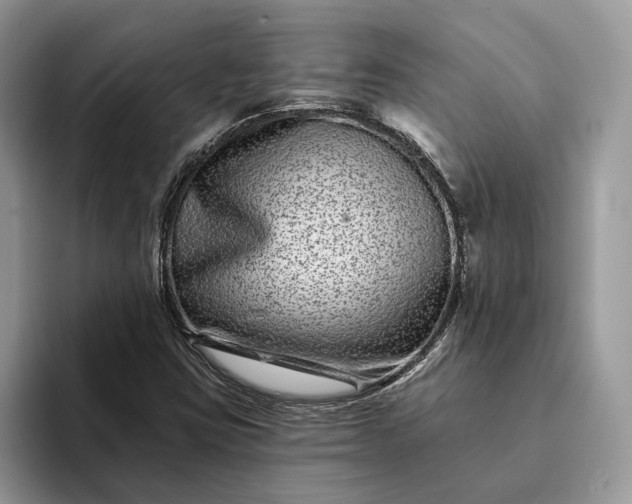 X0000094171403200711091116