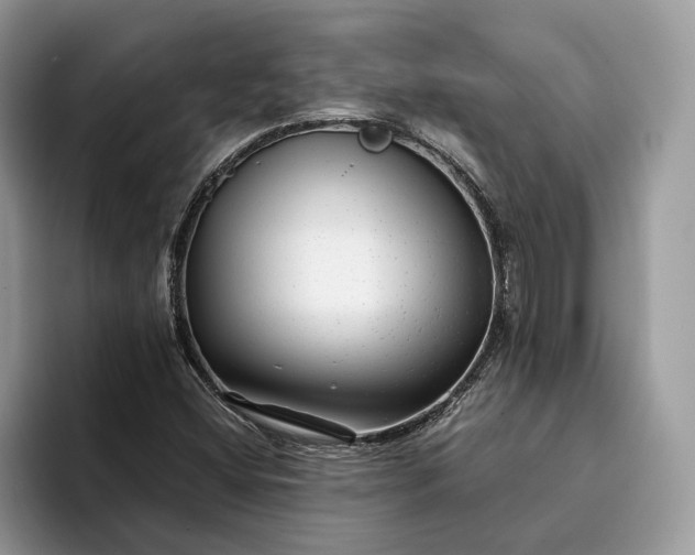 X0000094171404200711091116