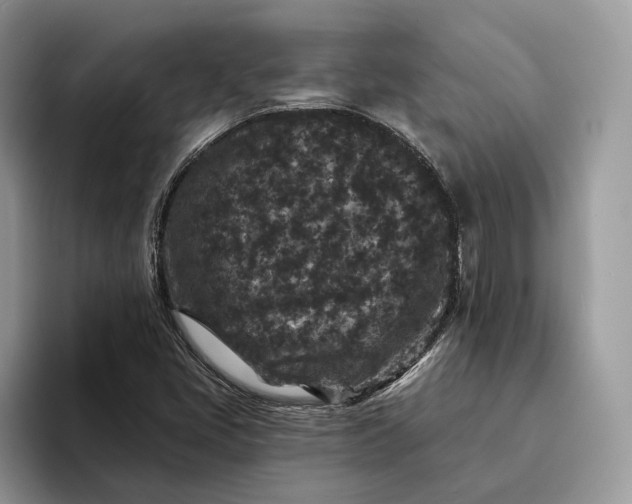 X0000094171405200711091116
