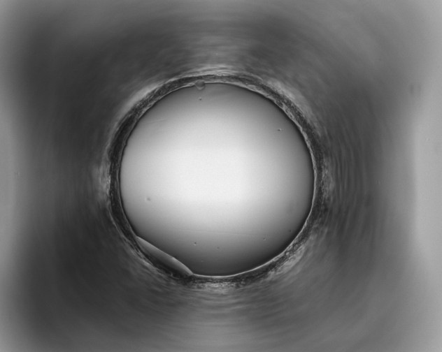 X0000094171406200711091116