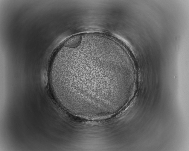 X0000094171407200711091116