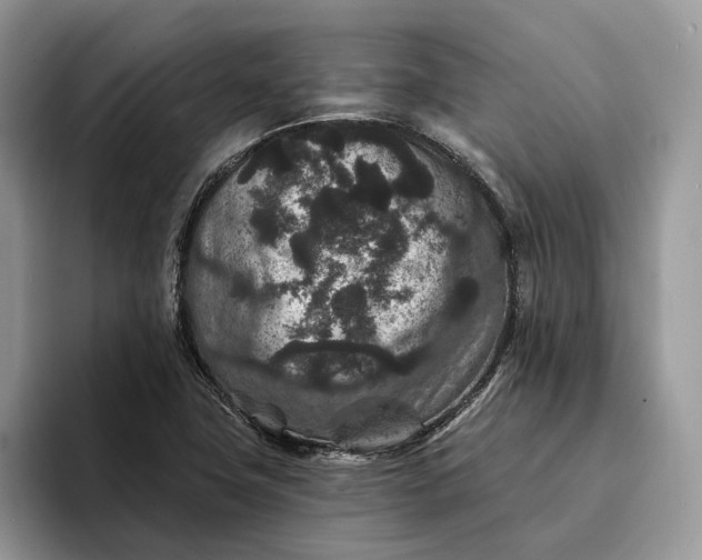 X0000094171411200711091116