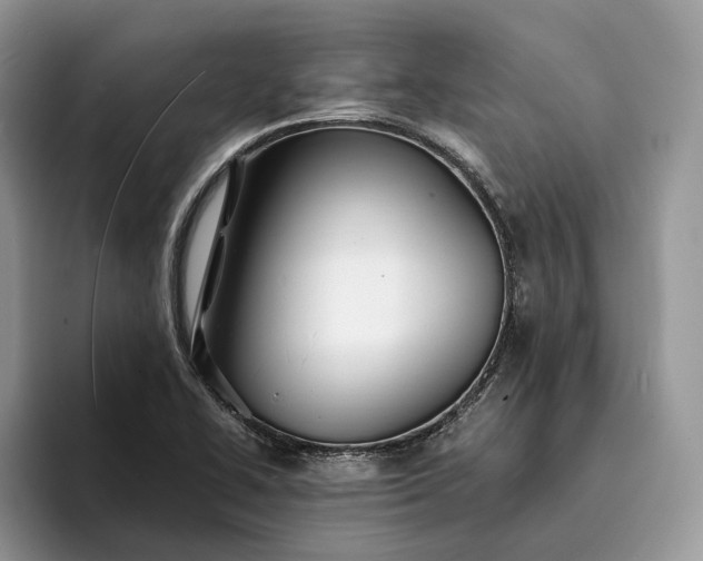 X0000094171414200711091116
