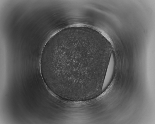 X0000094171425200711091116