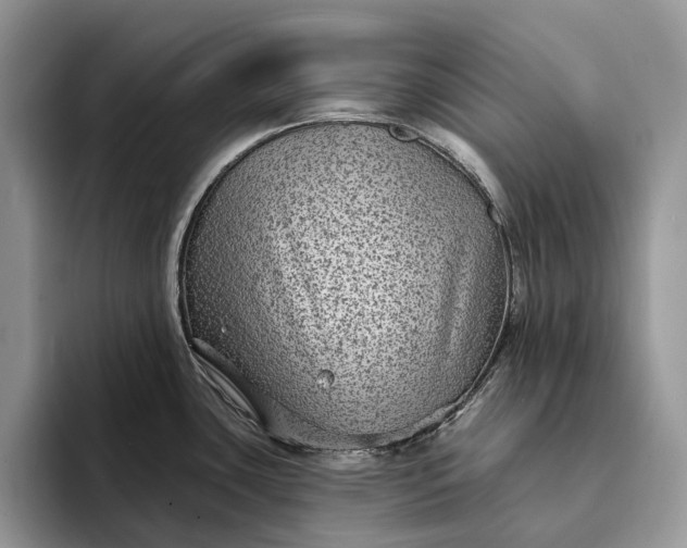 X0000094171435200711091116