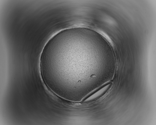 X0000094171439200711091116