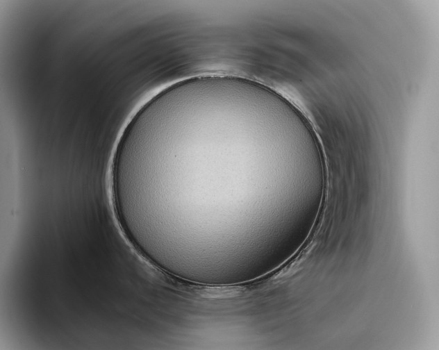 X0000094171440200711091116