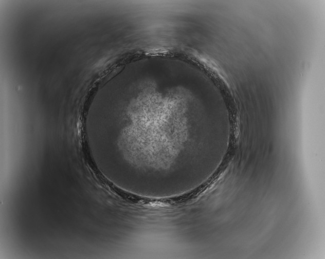 X0000094171445200711091115