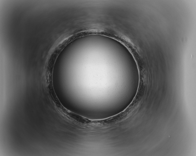 X0000094171448200711091115