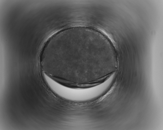 X0000094171453200711091115