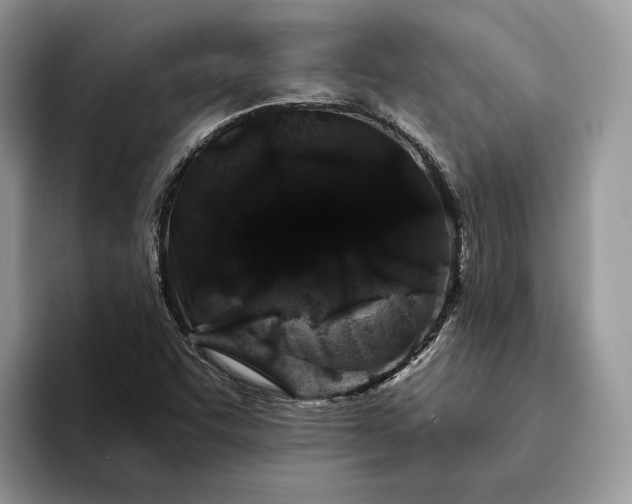 X0000094171455200711091115