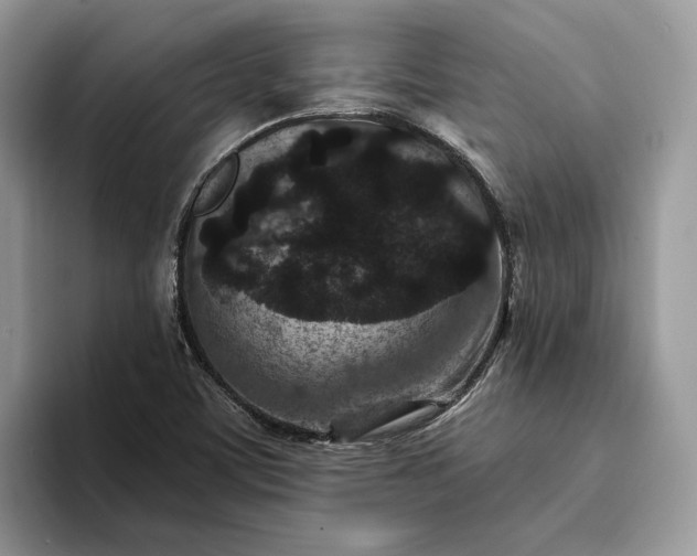 X0000094171459200711091115