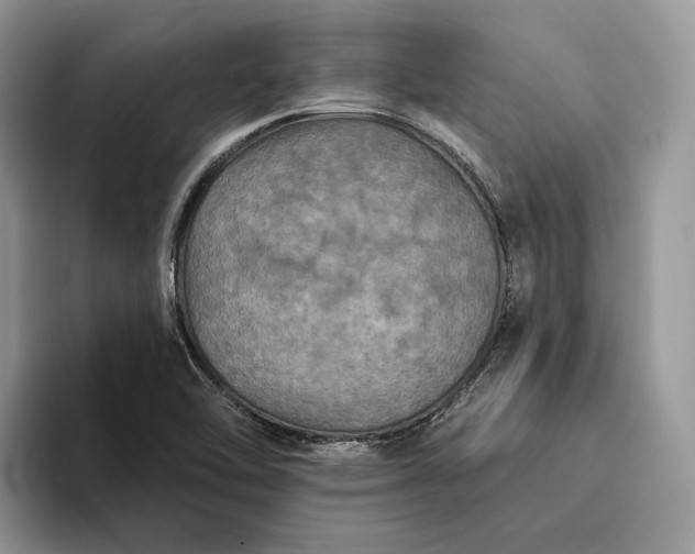 X0000094171462200711091115