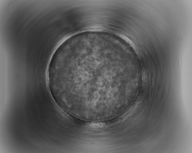 X0000094171466200711091115