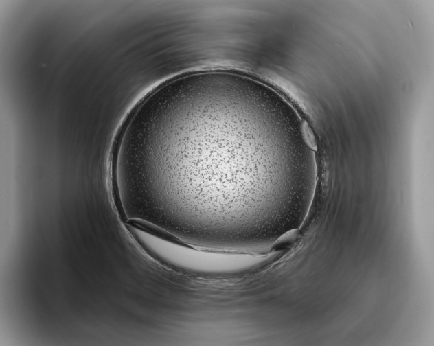 X0000094171468200711091115