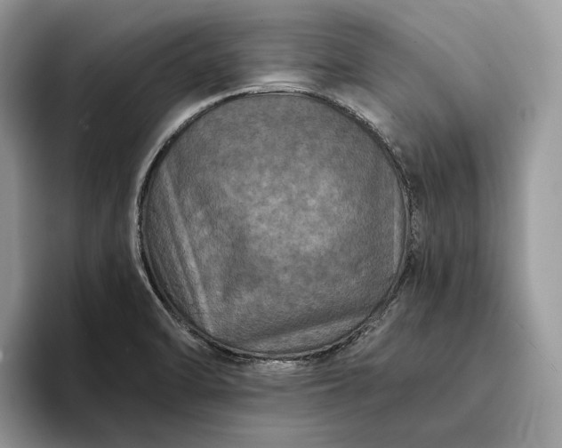 X0000094171470200711091115