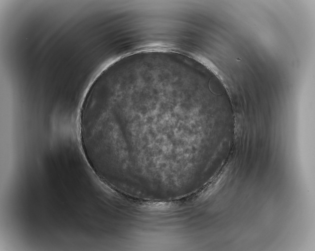 X0000094171474200711091115