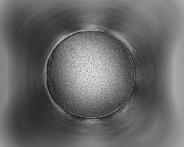 X0000094171479200711091115