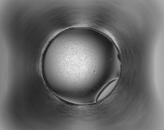 X0000094171480200711091115