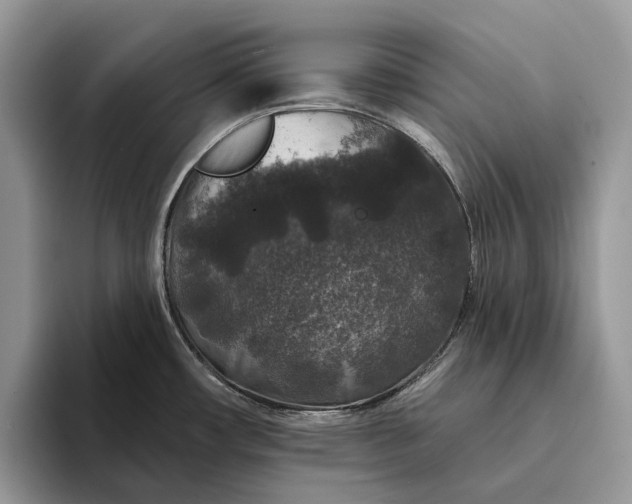 X0000094171482200711091115
