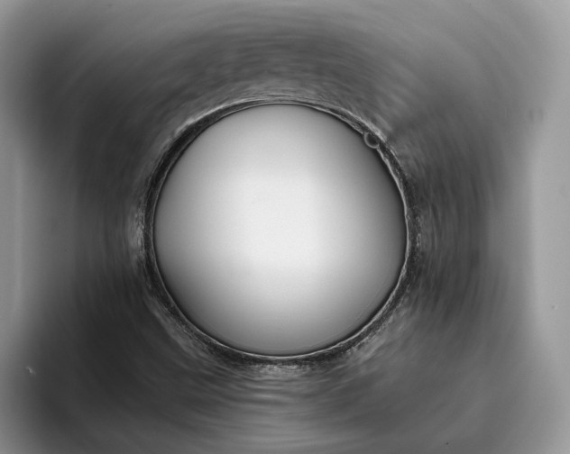 X0000094171499200711091114
