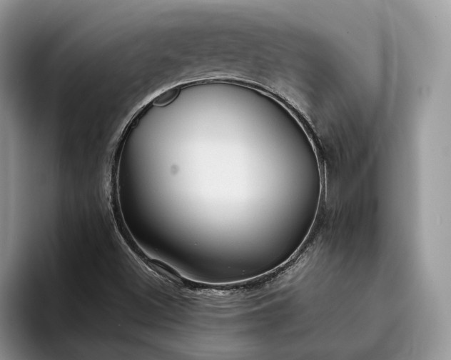 X0000094171500200711091114