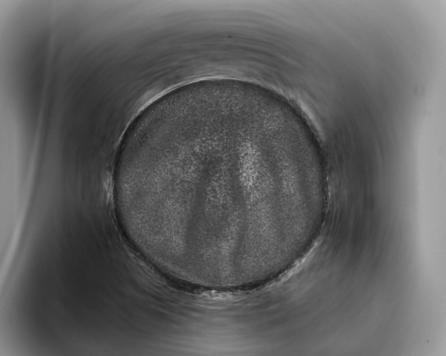X0000094171505200711091115