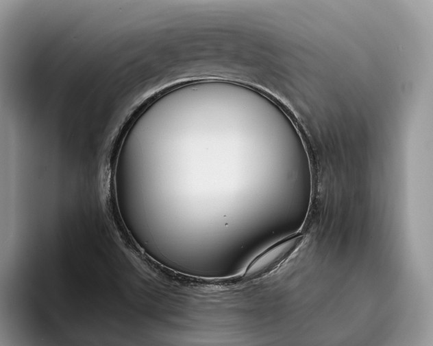 X0000094171507200711091115