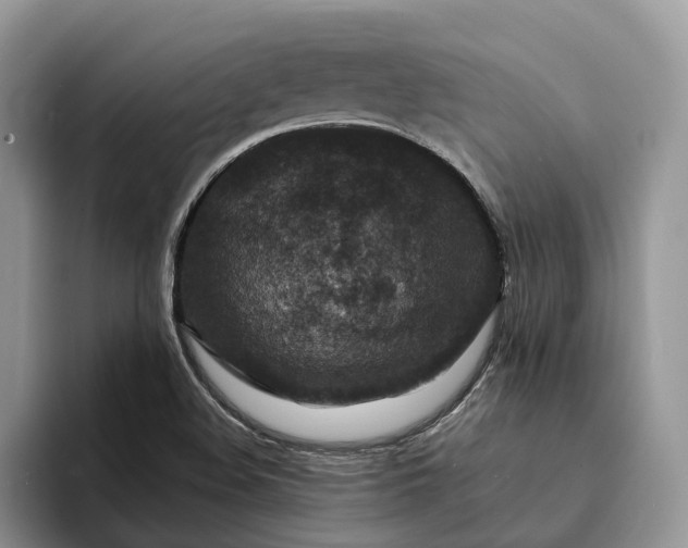 X0000094171508200711091115
