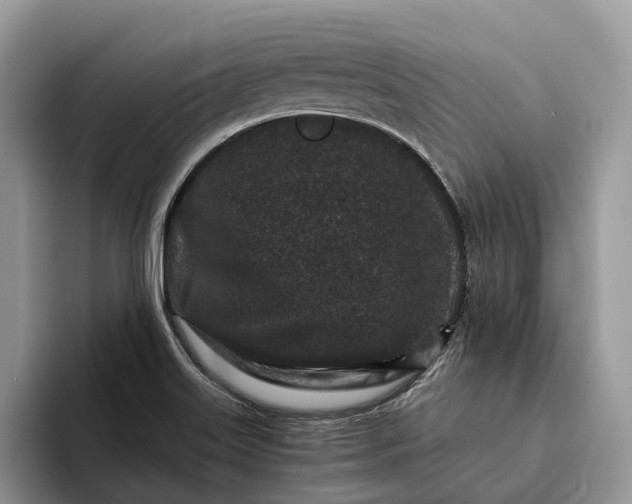 X0000094171515200711091115