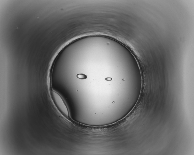 X0000094171516200711091115